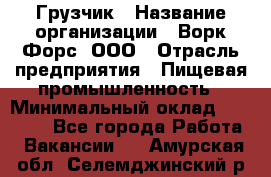 Грузчик › Название организации ­ Ворк Форс, ООО › Отрасль предприятия ­ Пищевая промышленность › Минимальный оклад ­ 25 000 - Все города Работа » Вакансии   . Амурская обл.,Селемджинский р-н